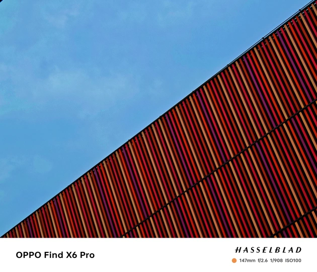 一只飞越建筑物上红色线条的鸟