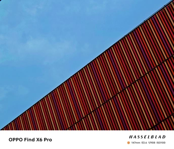 一只飞越建筑物上红色线条的鸟