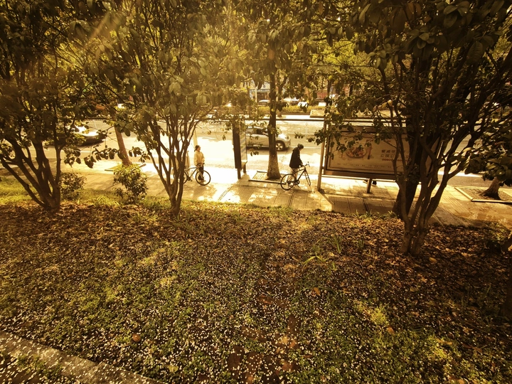 “我俩”·“bicycle”