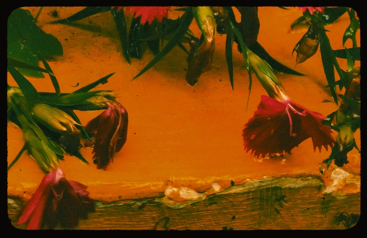 潦草的雨中曲·千百媚·意式颓丧