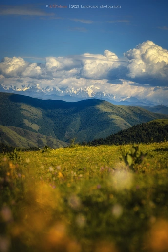 前景有花 背景有山 山上有云