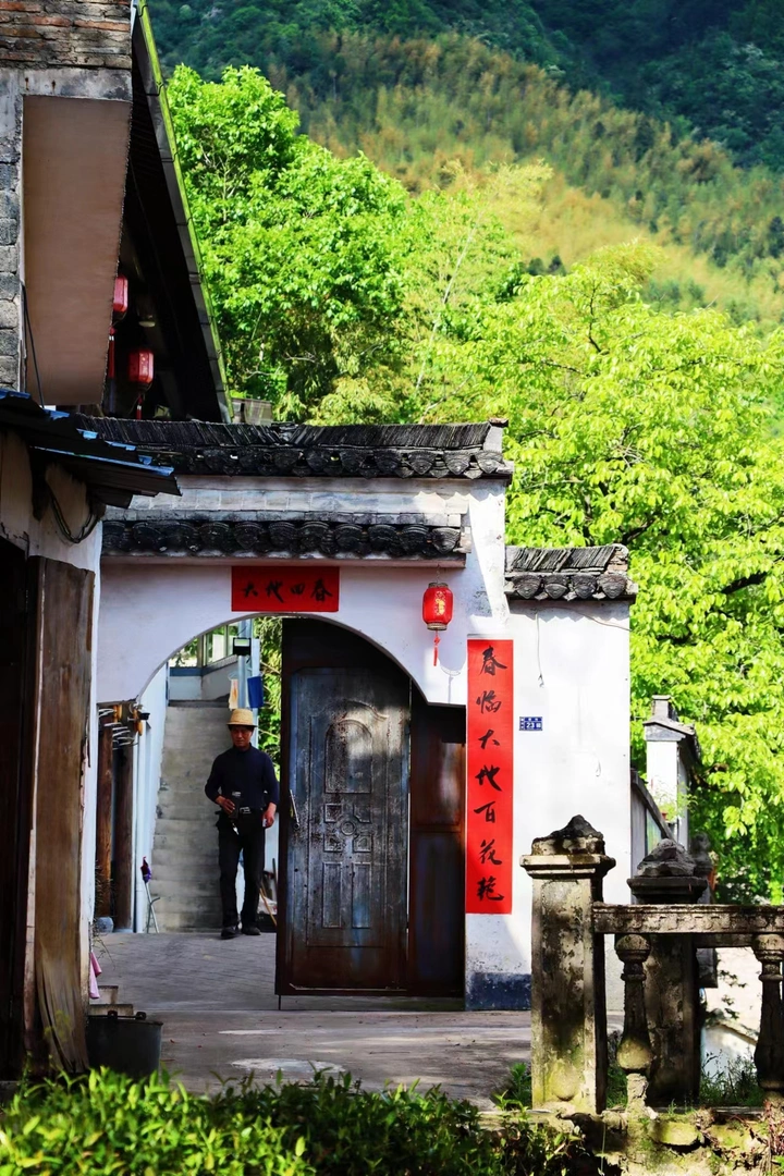 绿意之中塔川村一角