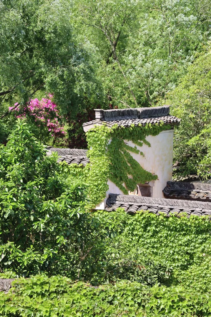 绿意之中守拙园徽派建筑