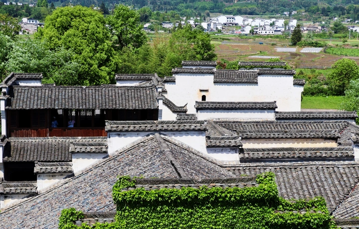 守拙园内绿意之中的古建筑