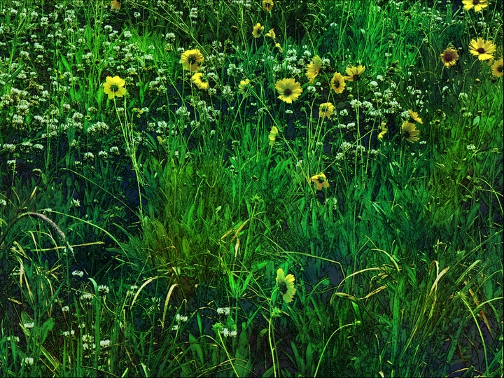 花