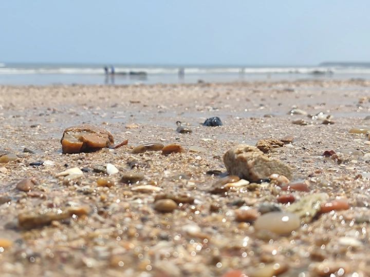 小陳的海边石头