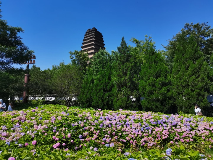 西安小雁塔