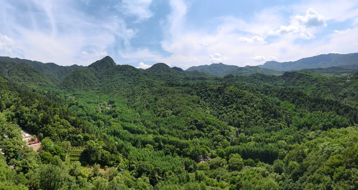 苍翠欲滴