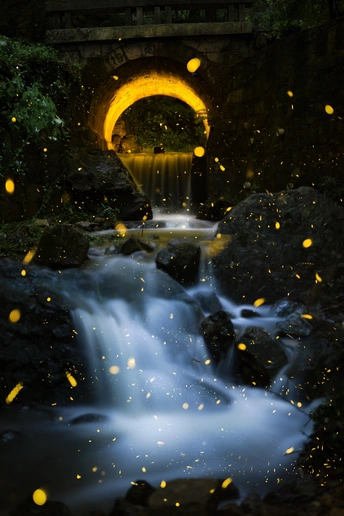 一个黑暗的隧道 有一个小型瀑布和一个带有黄色灯光的桥。