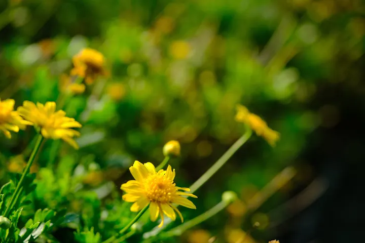 花