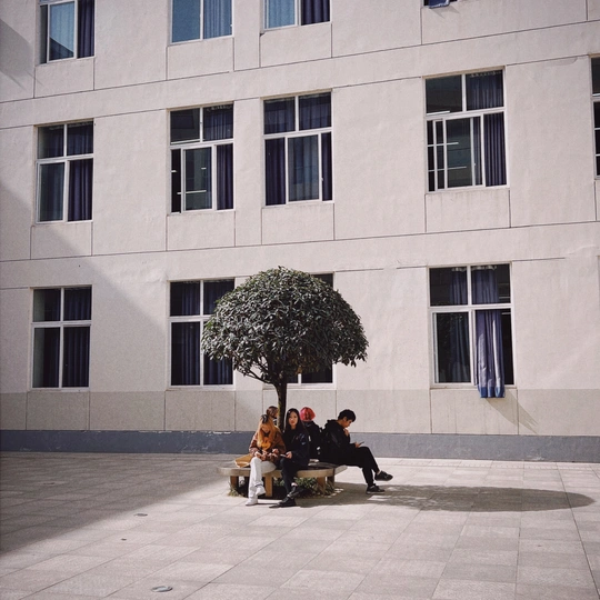 人们在大型建筑前面的庭院里坐在长凳上