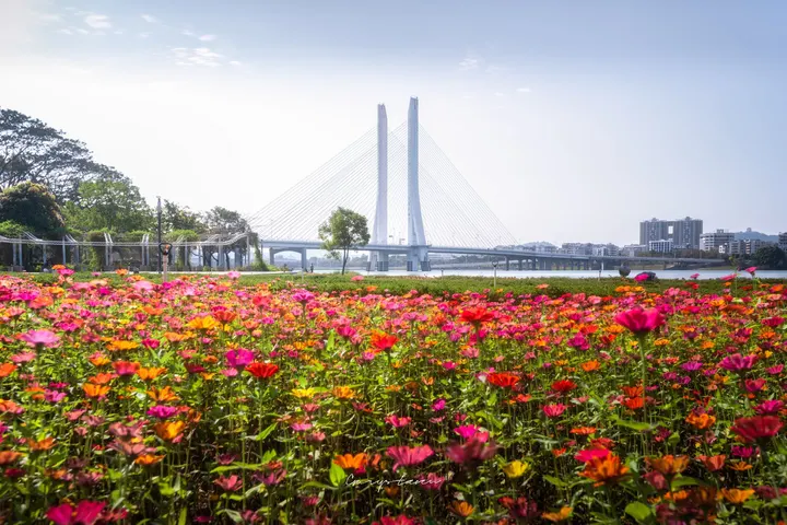 跨越花海的合生大桥