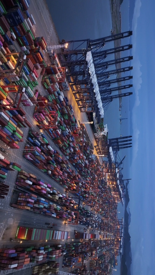 摩天大楼与众多书籍的城市