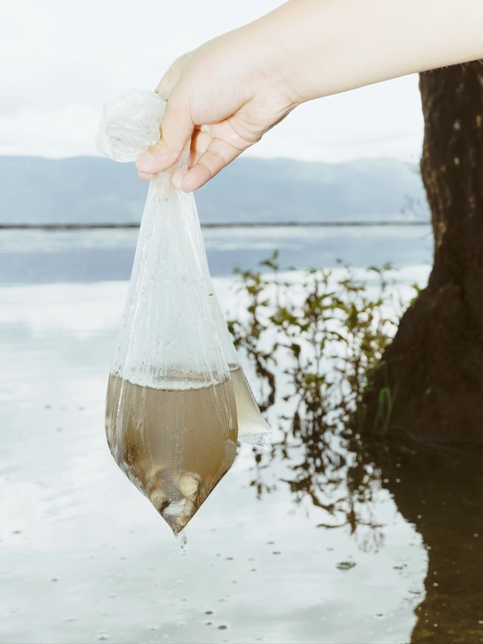 一个人手里拿着一个塑料袋 里面装着一条鱼 在湖中漂浮。