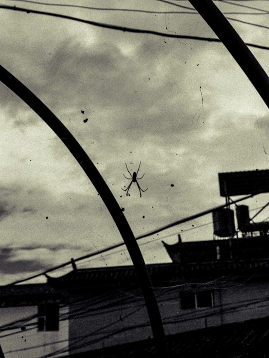 大型船舶在水中 桥 输电线路和建筑物在背景中 黑白