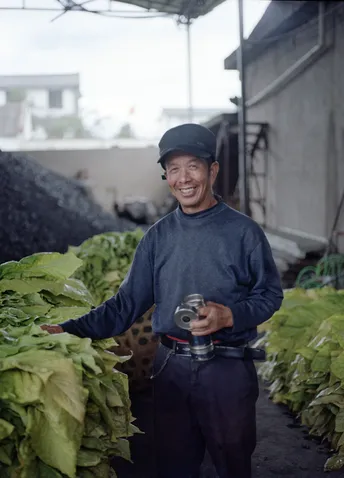 一个人手里拿着绿色的蔬菜