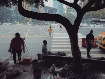 行人和儿童沿着一棵树旁的人行道走