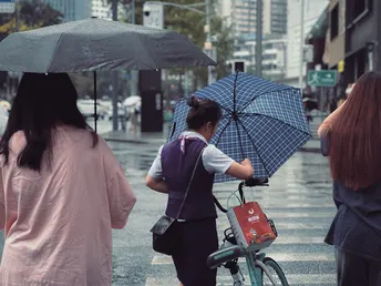一位女士打着伞 走在街上 推着一辆自行车。