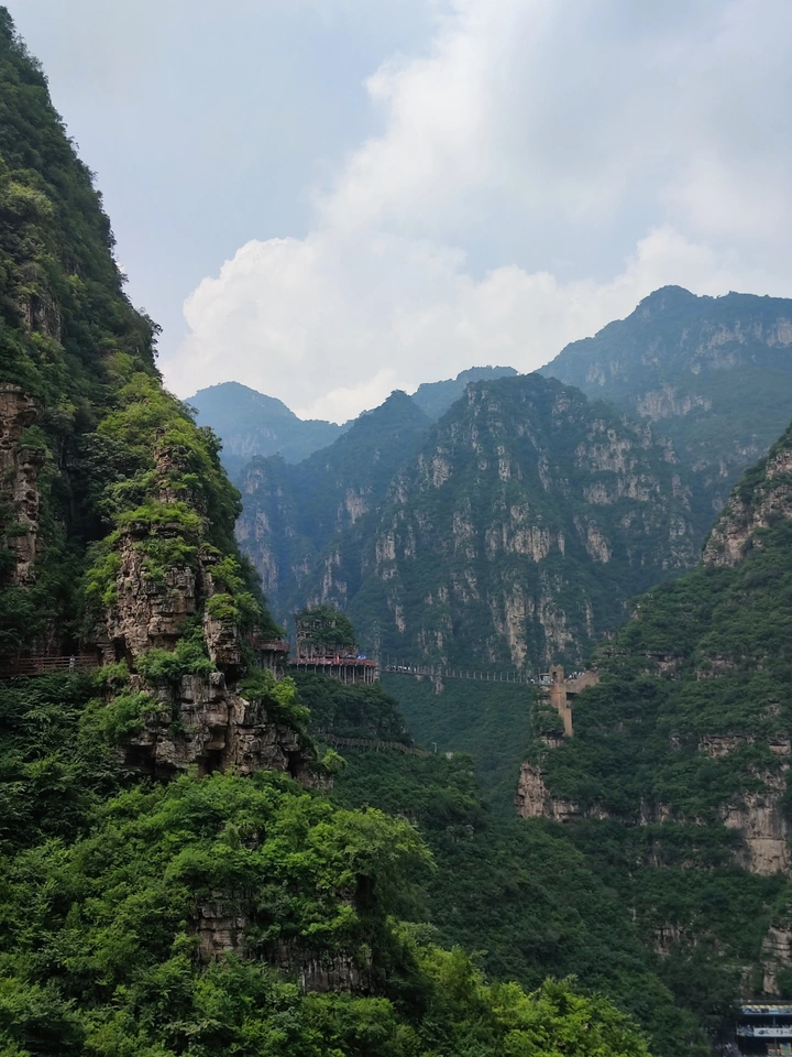 云鹤野山