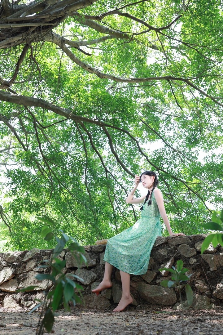 夏日芭乐