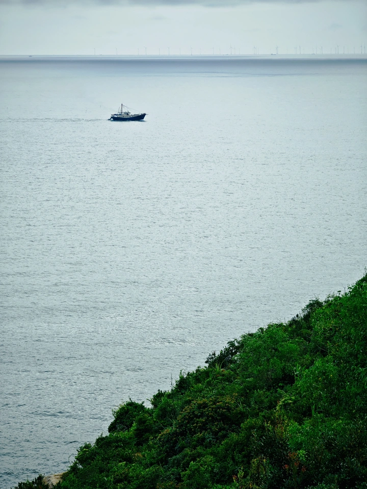 秋海