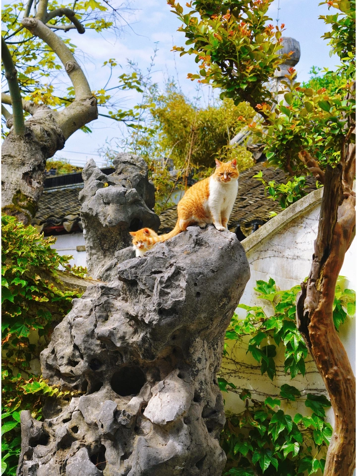 午后小憩