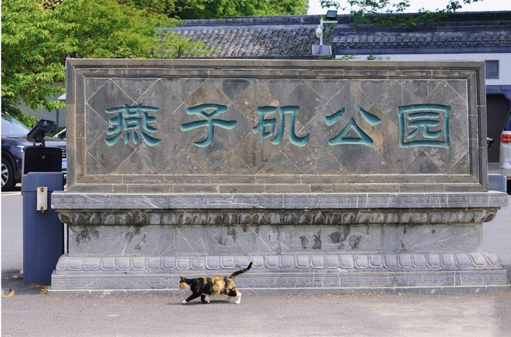 春天里