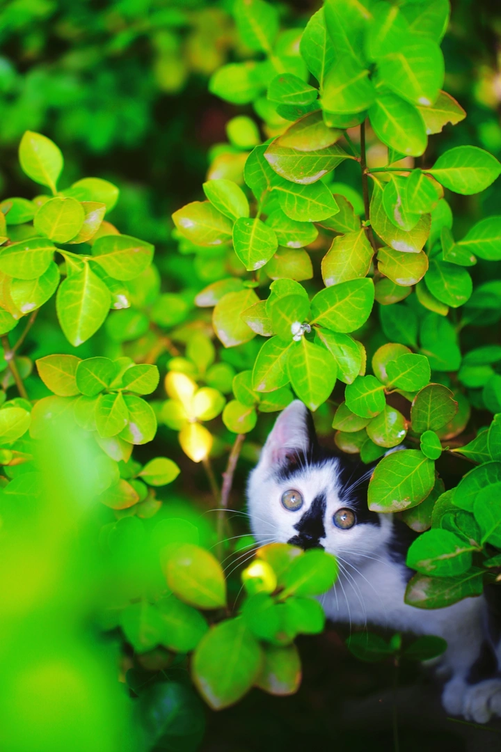 潦草
