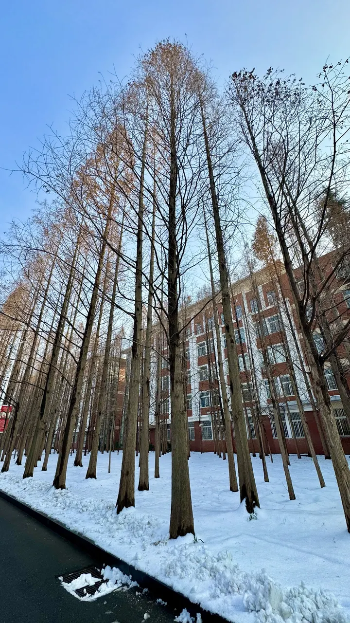 重返校园