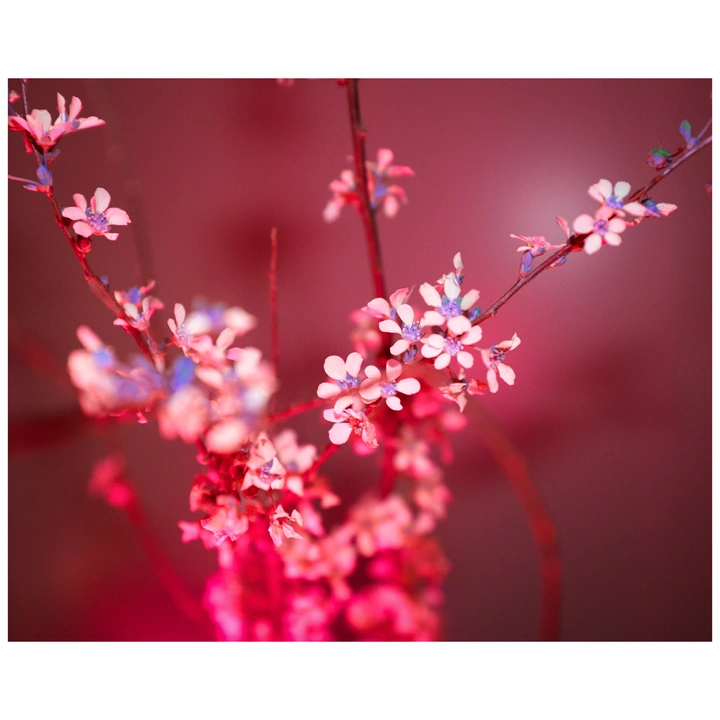 情人节快乐～