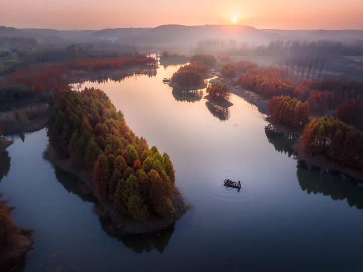 夕阳下的池杉湖