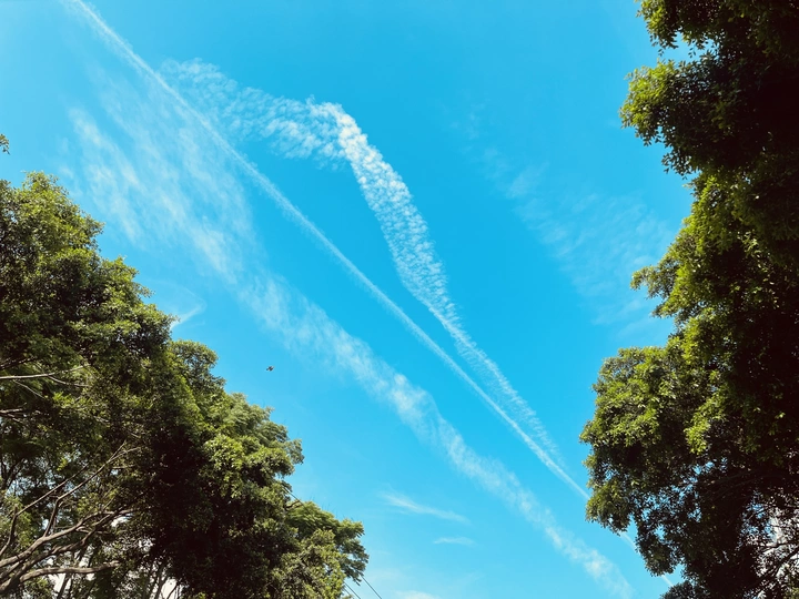 夏天