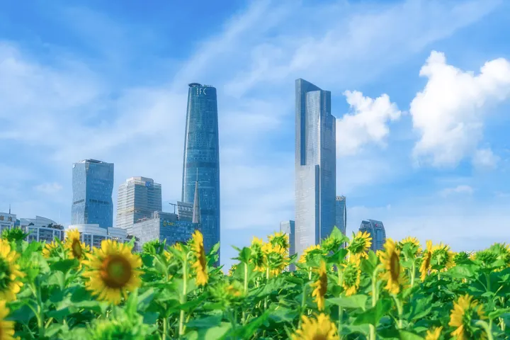 花城