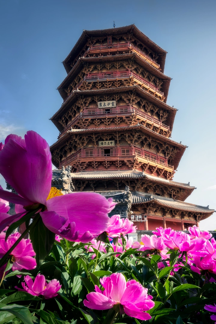 芍药花丛中的千年木塔
