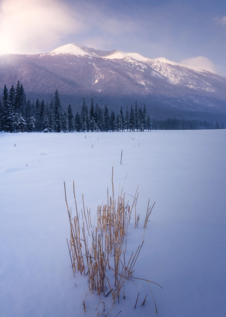 萧瑟的雪景
