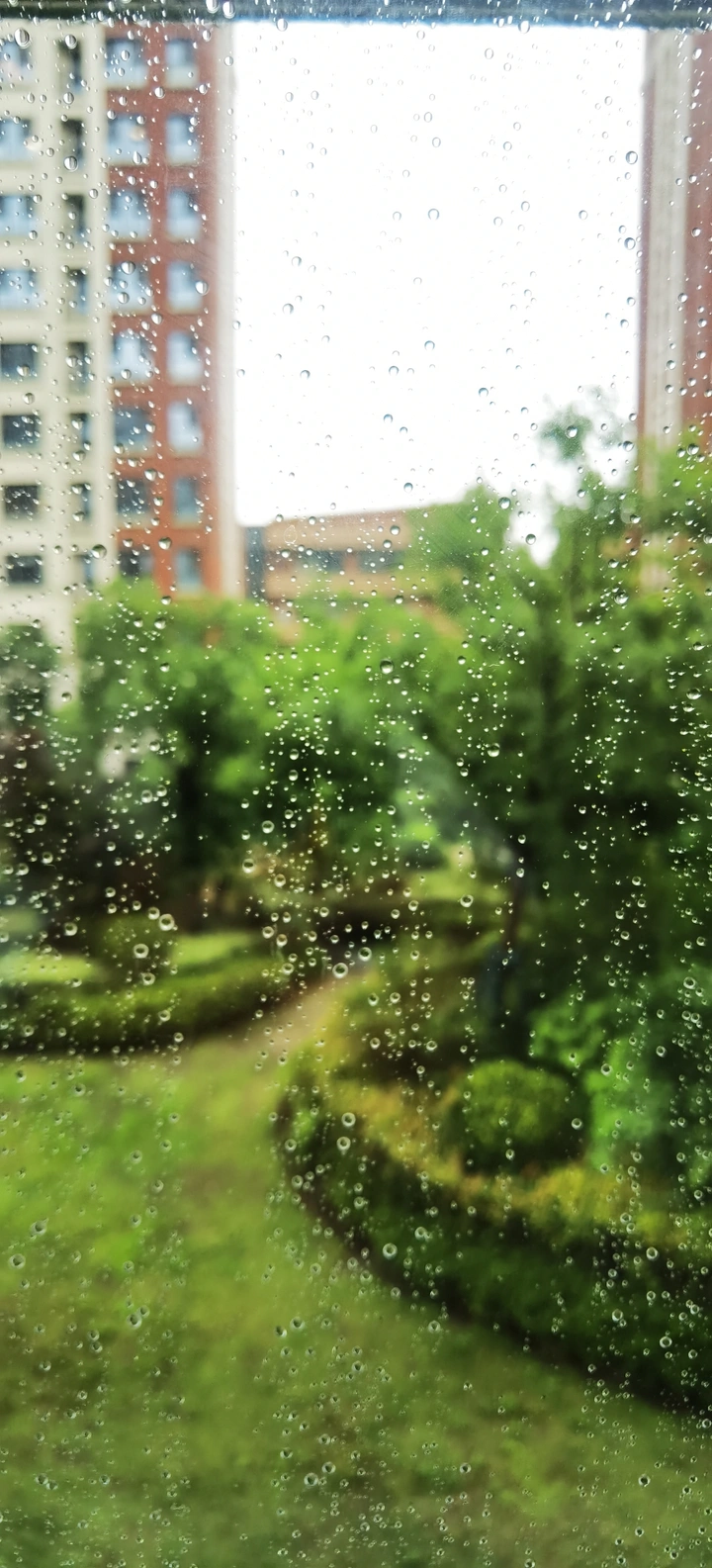雨天