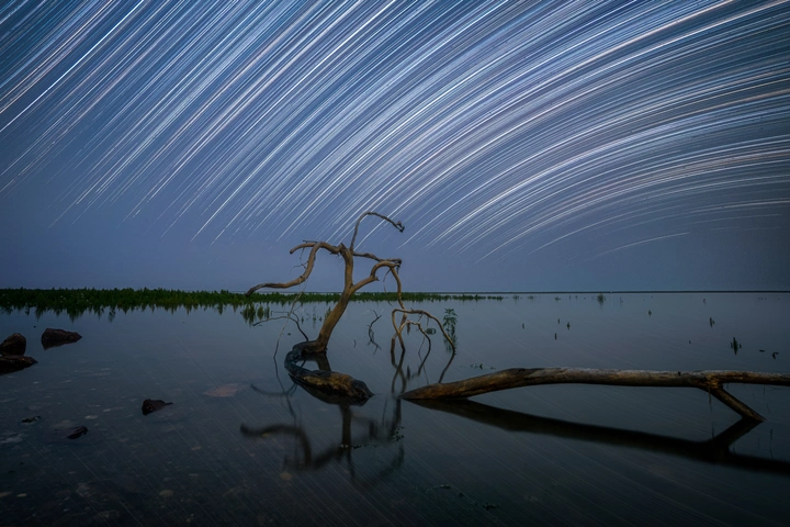 孤木星湖