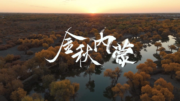 女生一个人七天 这是秋天的内蒙