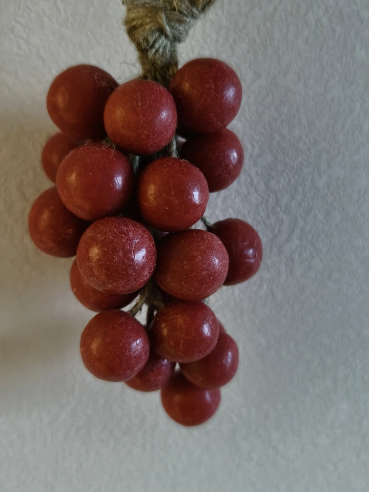 红石榴和黑色皂肥葡萄🍇