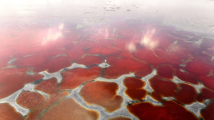 魔界之中