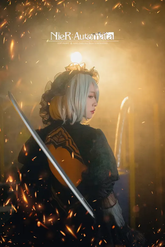 电影《火剑》的海报