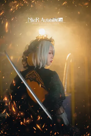 电影《火剑》的海报