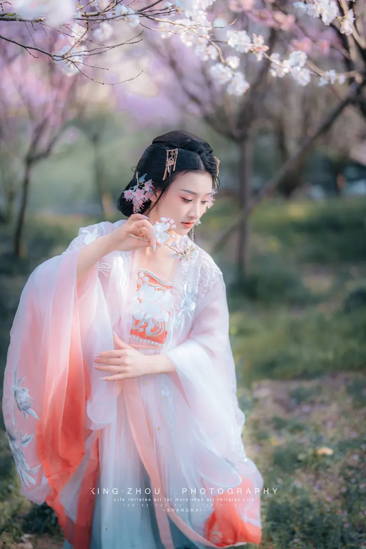 《樱花开了》