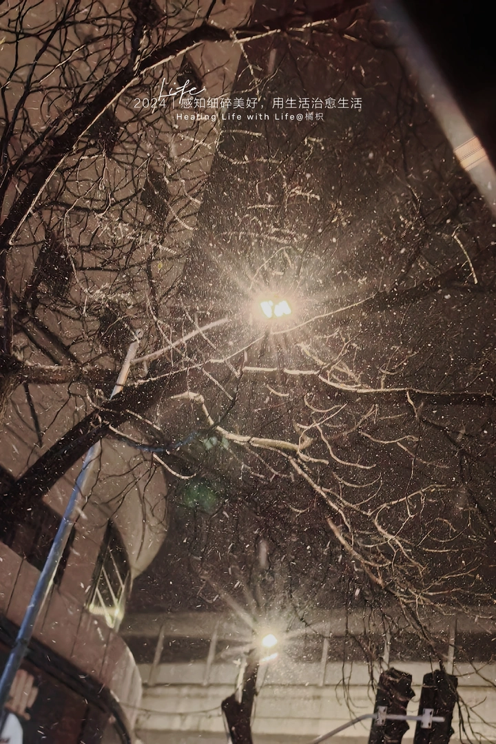 他朝若是同淋雪 此生也算共白头