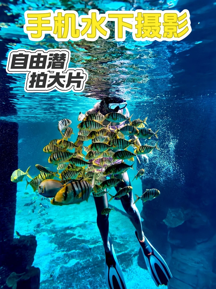在陆地拍照十几年～太腻了！怎么办