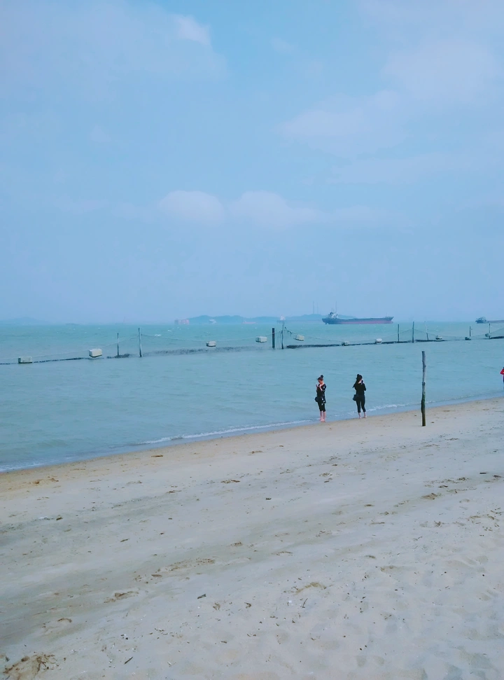 还能看到这样的海洋吗