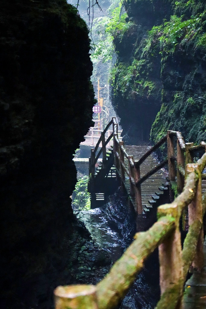 细雨入山林