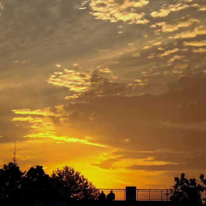 冬校园的晴天?夕阳也很出片呀