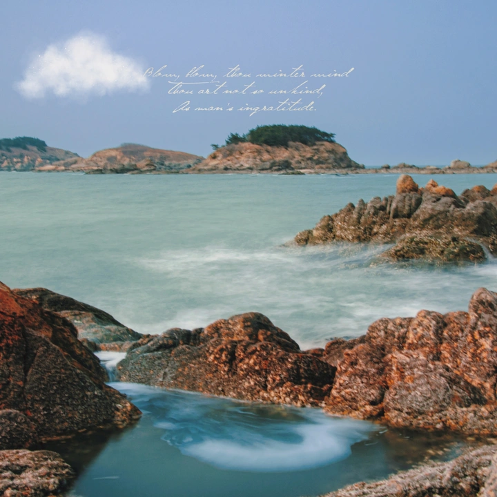 海