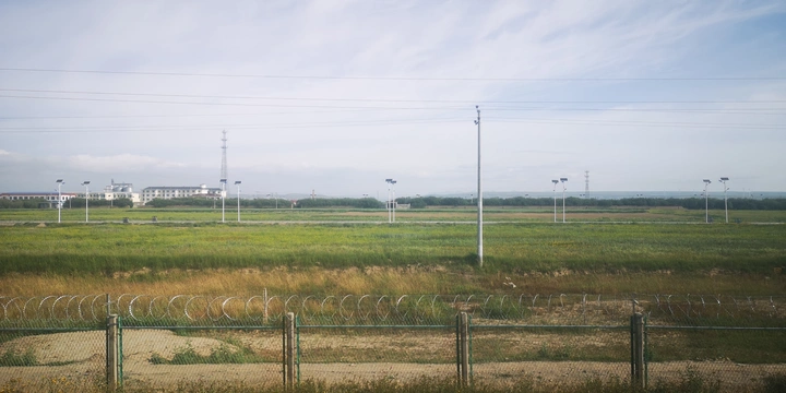 青海湖农场
